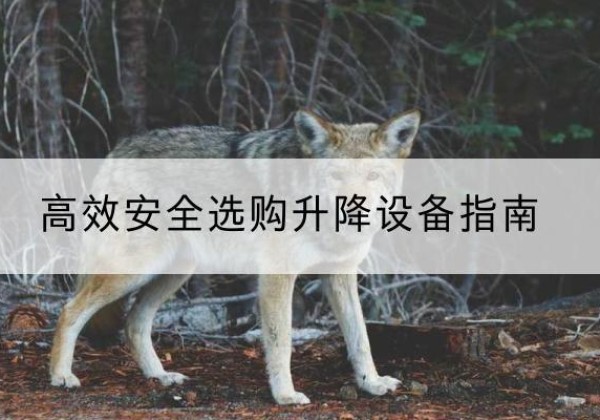 东莞升降货梯厂家推荐-*安全选购升降设备指南