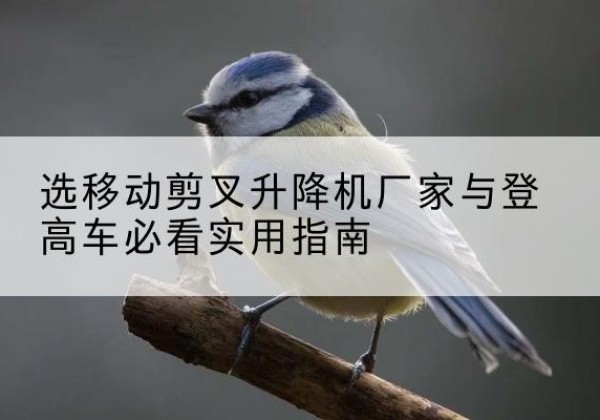 东莞电动升降机厂家-选移动剪叉升降机厂家与登高车必看实用指南
