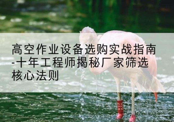 东莞剪叉式升降机厂家-高空作业设备选购实战指南-十年工程师揭秘厂家筛选核心法则