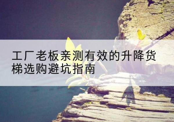 东莞升降货梯怎么选-工厂老板亲测有效的升降货梯选购避坑指南